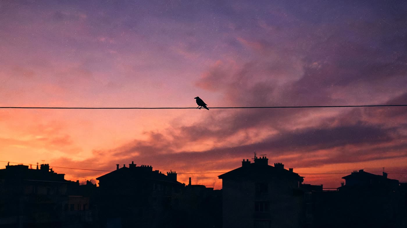 A crow perched on a windowsill against an urban backdrop, looking directly at the viewer